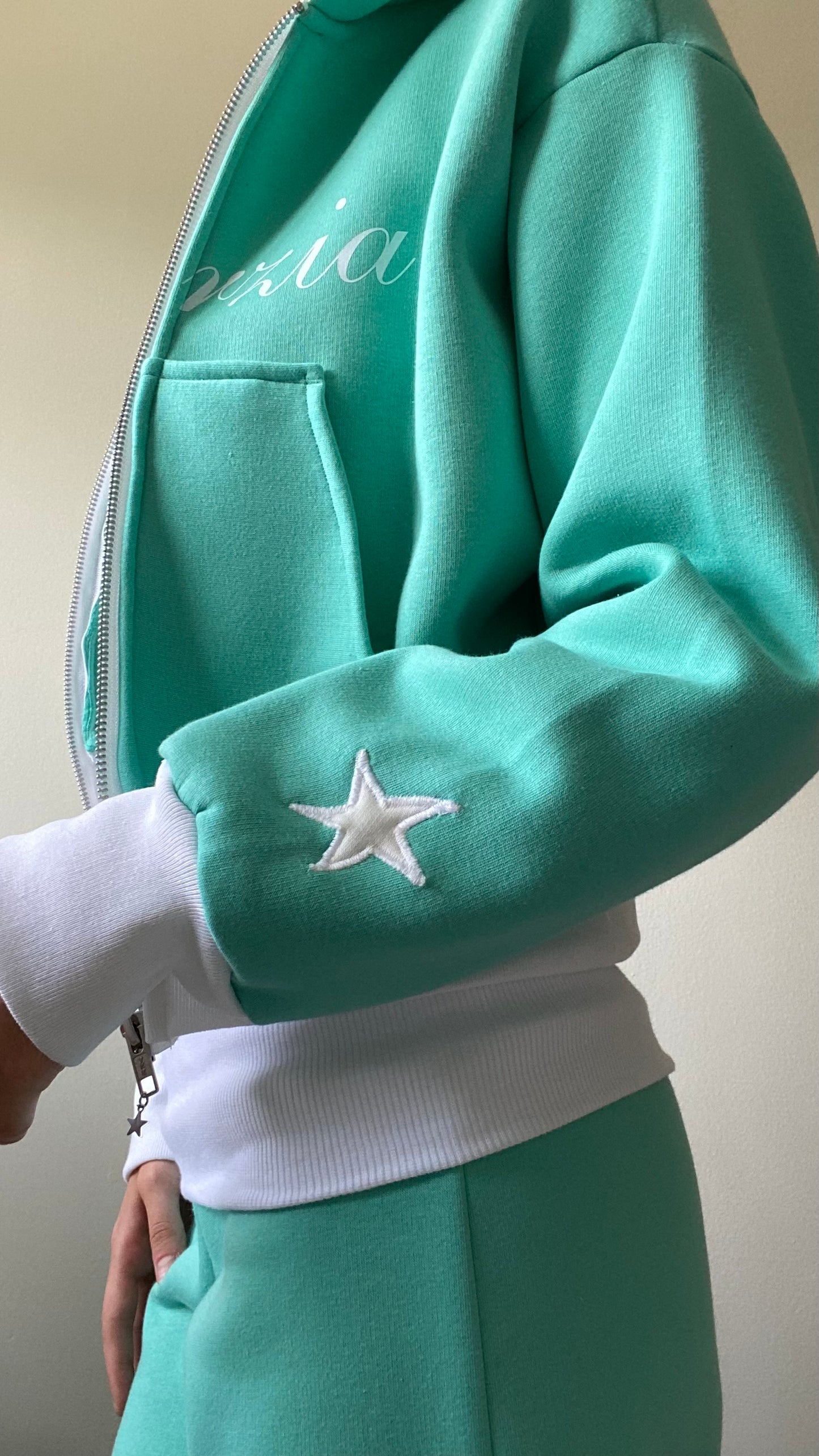 Starzia cropped zip up in teal